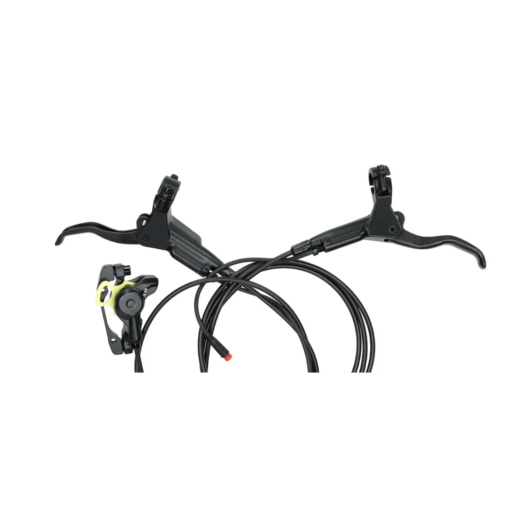 Miniatuur 3