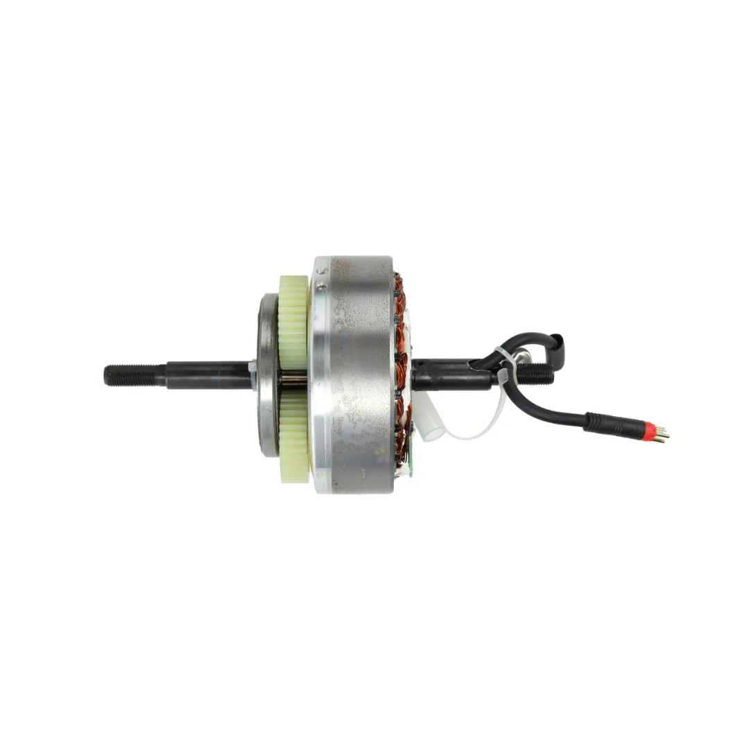 Miniatuur 3
